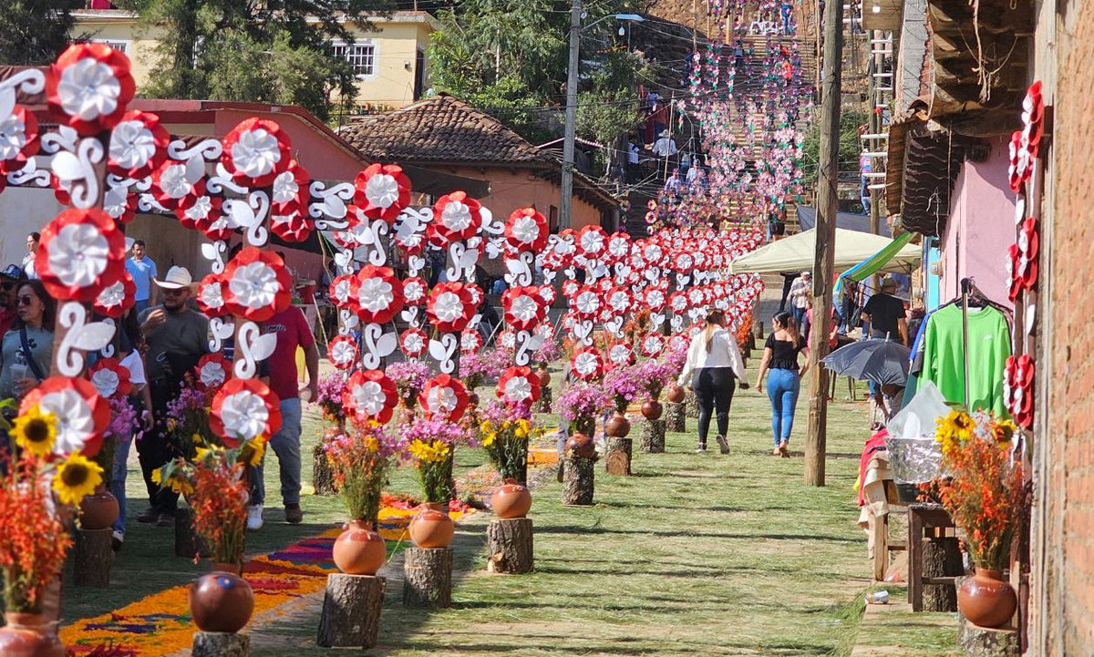 Viaje a los Tapetes de Patamban | Vagando por México – Vagando por México