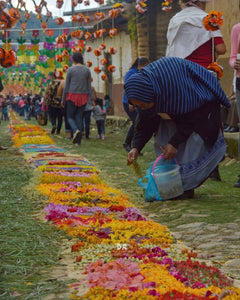 Tapetes de Patamban