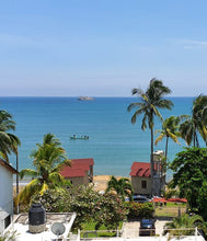 Vista panoramica de las palmeras en Villa rica